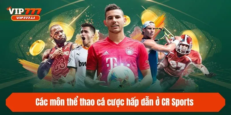 Các môn thể thao cá cược hấp dẫn ở CR Sports