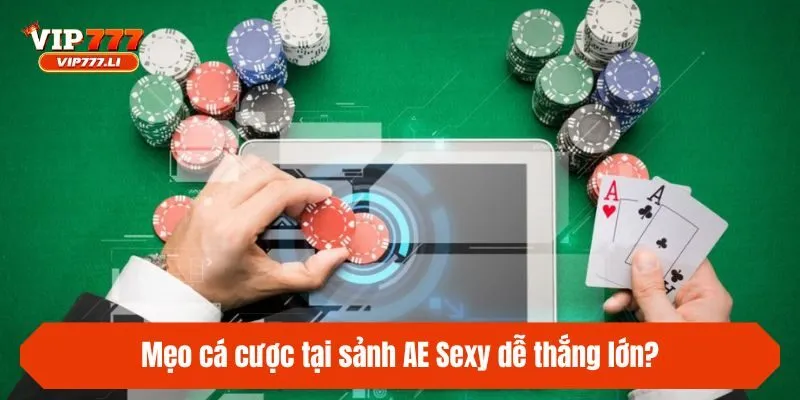 Mẹo cá cược tại sảnh AE Sexy dễ thắng lớn?